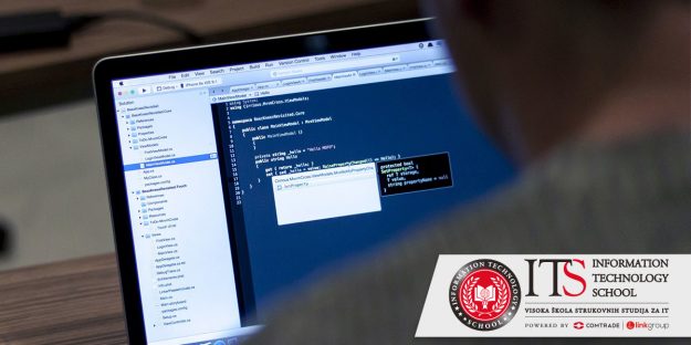 student radi na online projektu