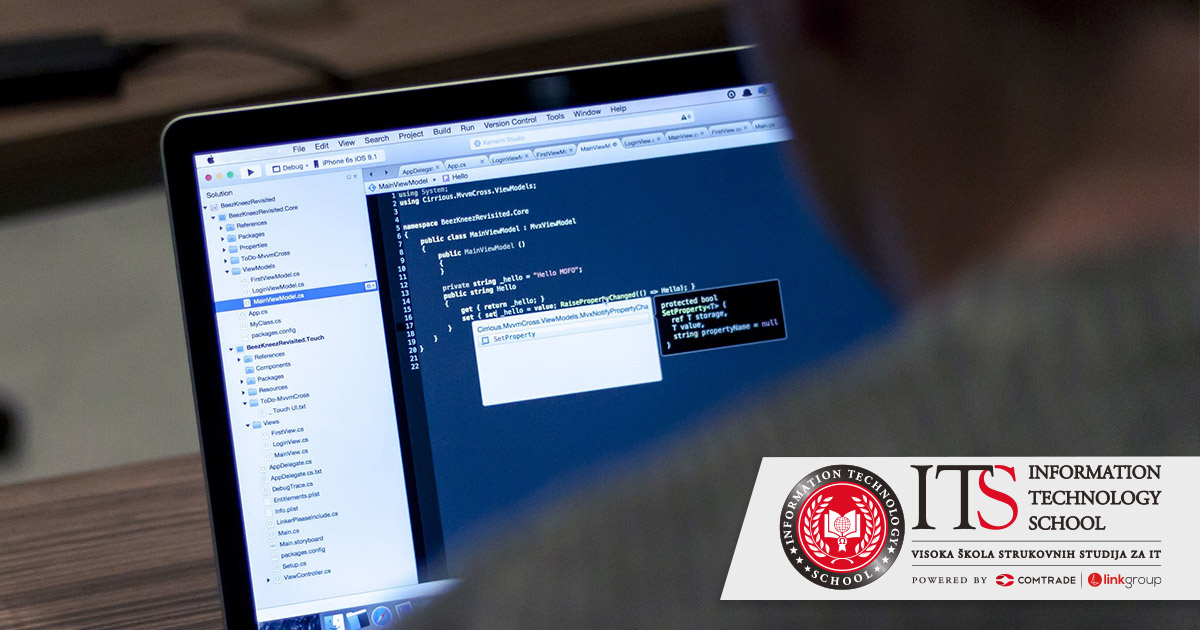 student-kodira student radi na online projektu