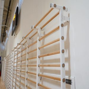 najmodernija sala za sportske aktivnosti